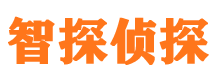 望都外遇出轨调查取证